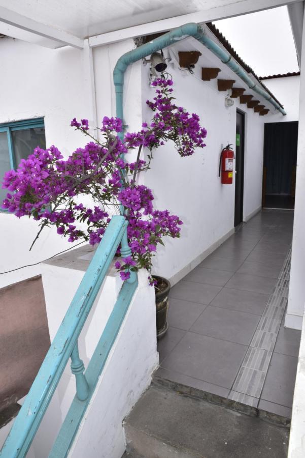 Red Llama Eco Hostel Lima Exterior foto